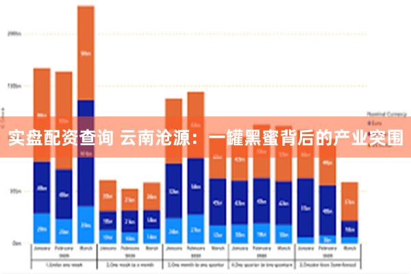实盘配资查询 云南沧源：一罐黑蜜背后的产业突围
