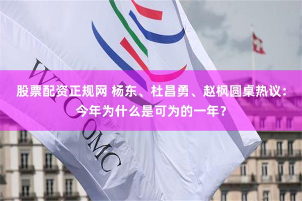 股票配资正规网 杨东、杜昌勇、赵枫圆桌热议：今年为什么是可为的一年？