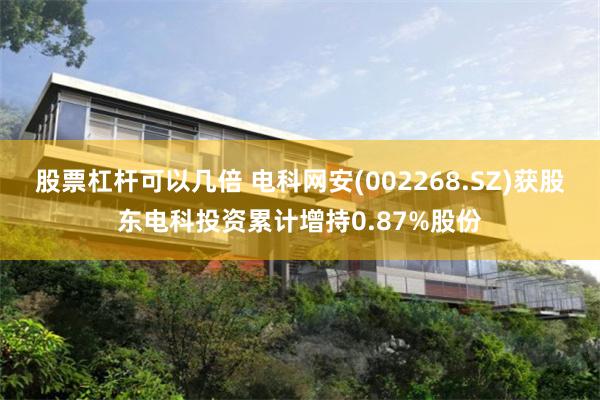 股票杠杆可以几倍 电科网安(002268.SZ)获股东电科投资累计增持0.87%股份