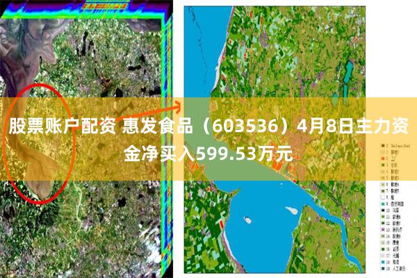 股票账户配资 惠发食品（603536）4月8日主力资金净买入599.53万元