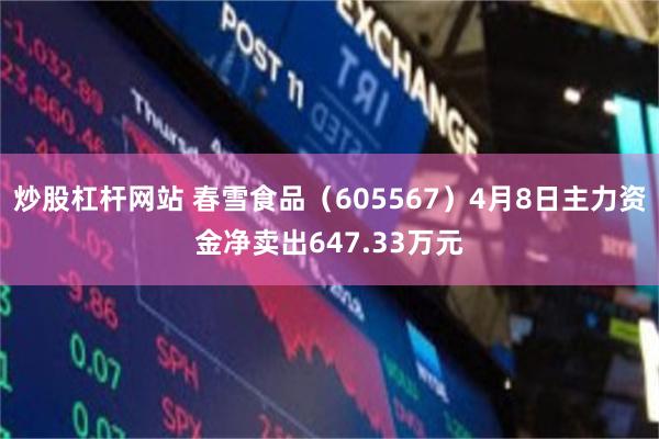 炒股杠杆网站 春雪食品（605567）4月8日主力资金净卖出647.33万元