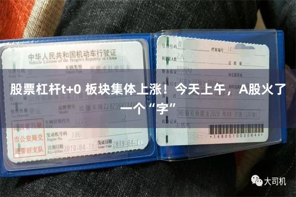 股票杠杆t+0 板块集体上涨！今天上午，A股火了一个“字”