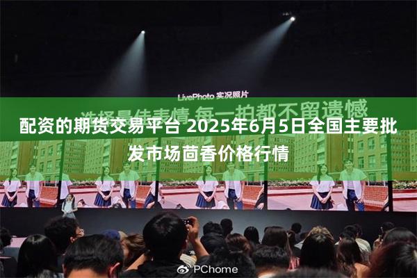 配资的期货交易平台 2025年6月5日全国主要批发市场茴香价格行情
