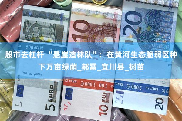 股市去杠杆 “悬崖造林队”：在黄河生态脆弱区种下万亩绿荫_郝雷_宜川县_树苗