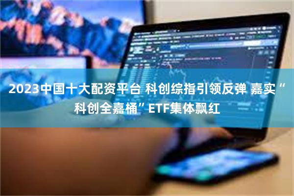2023中国十大配资平台 科创综指引领反弹 嘉实“科创全嘉桶”ETF集体飘红