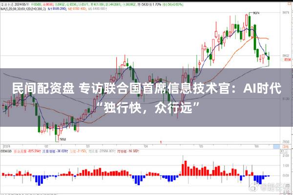 民间配资盘 专访联合国首席信息技术官：AI时代“独行快，众行远”