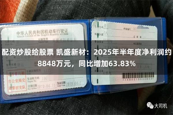配资炒股给股票 凯盛新材：2025年半年度净利润约8848万元，同比增加63.83%