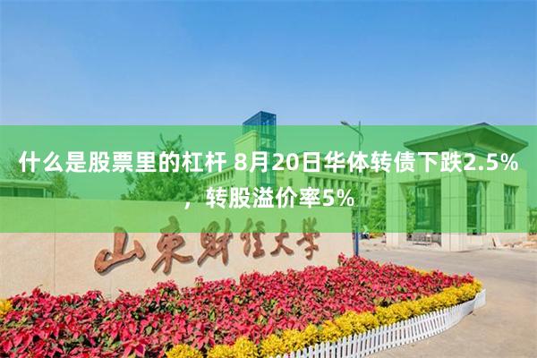 什么是股票里的杠杆 8月20日华体转债下跌2.5%，转股溢价率5%