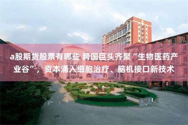 a股期货股票有哪些 跨国巨头齐聚“生物医药产业谷”，资本涌入细胞治疗、脑机接口新技术