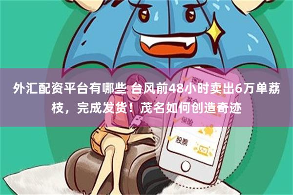 外汇配资平台有哪些 台风前48小时卖出6万单荔枝，完成发货！茂名如何创造奇迹
