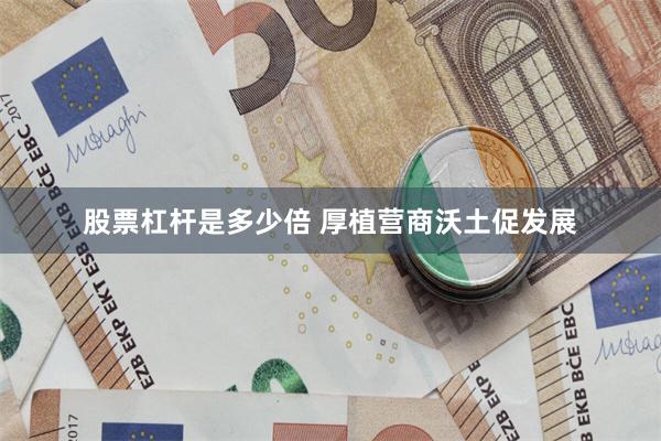 股票杠杆是多少倍 厚植营商沃土促发展