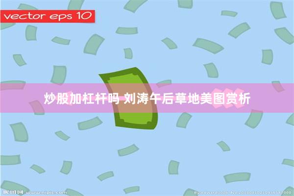 炒股加杠杆吗 刘涛午后草地美图赏析