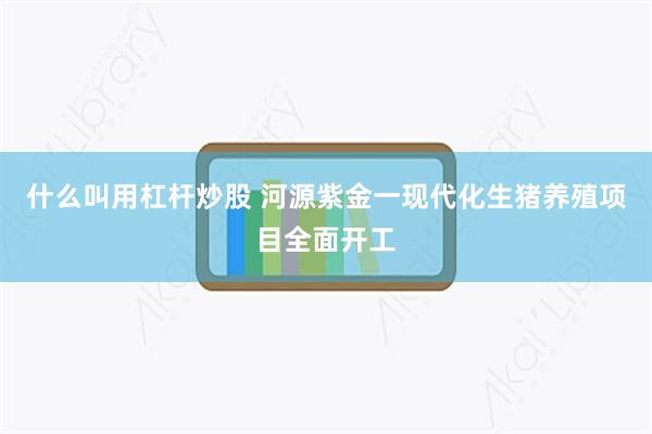 什么叫用杠杆炒股 河源紫金一现代化生猪养殖项目全面开工