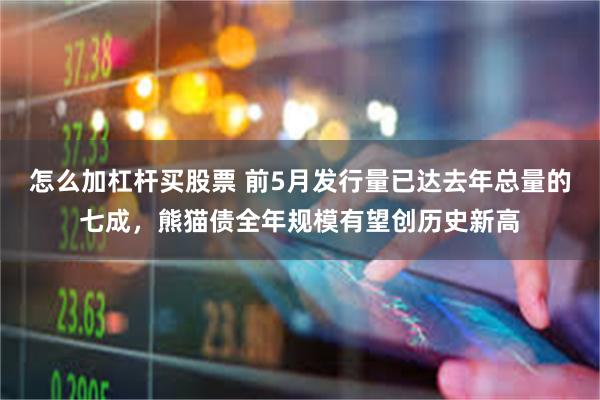 怎么加杠杆买股票 前5月发行量已达去年总量的七成，熊猫债全年规模有望创历史新高
