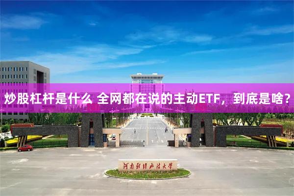 炒股杠杆是什么 全网都在说的主动ETF，到底是啥？