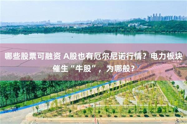 哪些股票可融资 A股也有厄尔尼诺行情？电力板块催生“牛股”，为哪般？