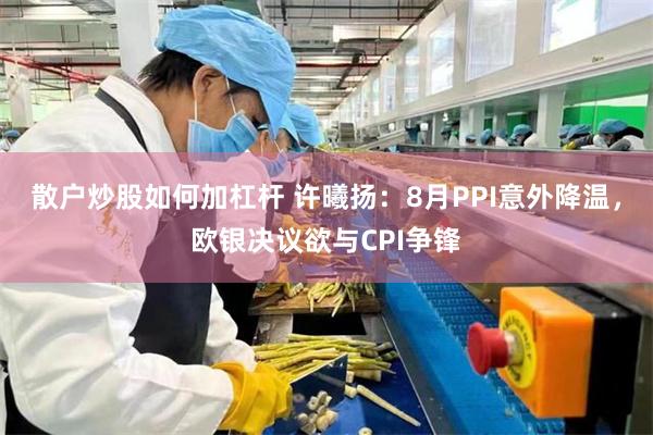 散户炒股如何加杠杆 许曦扬：8月PPI意外降温，欧银决议欲与CPI争锋