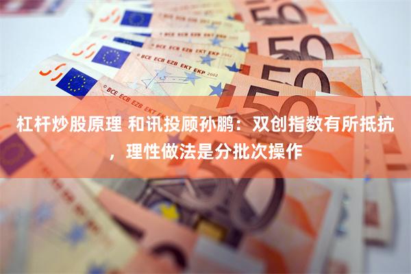 杠杆炒股原理 和讯投顾孙鹏：双创指数有所抵抗，理性做法是分批次操作