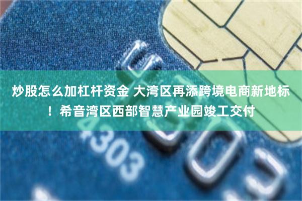 炒股怎么加杠杆资金 大湾区再添跨境电商新地标！希音湾区西部智慧产业园竣工交付