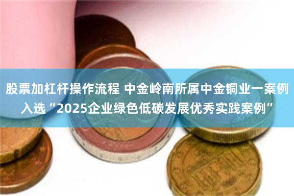 股票加杠杆操作流程 中金岭南所属中金铜业一案例入选“2025企业绿色低碳发展优秀实践案例”