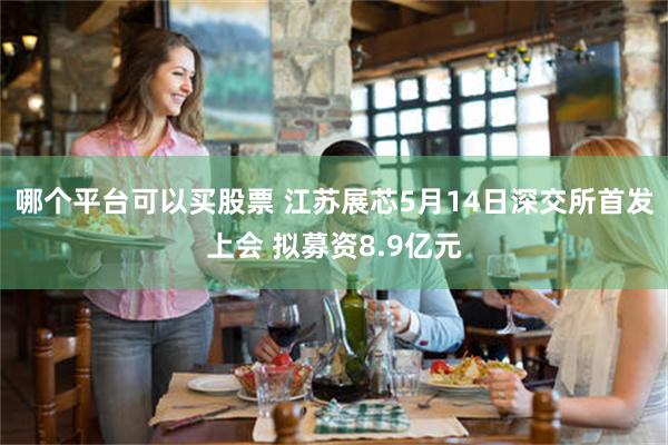 哪个平台可以买股票 江苏展芯5月14日深交所首发上会 拟募资8.9亿元