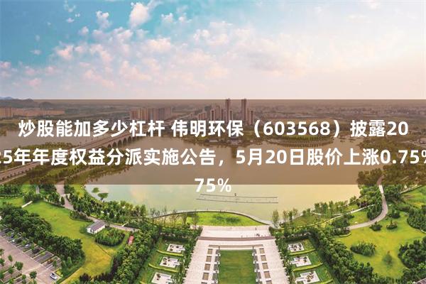 炒股能加多少杠杆 伟明环保（603568）披露2025年年度权益分派实施公告，5月20日股价上涨0.75%