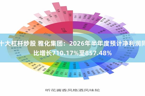 十大杠杆炒股 雅化集团：2026年半年度预计净利润同比增长710.17%至857.48%