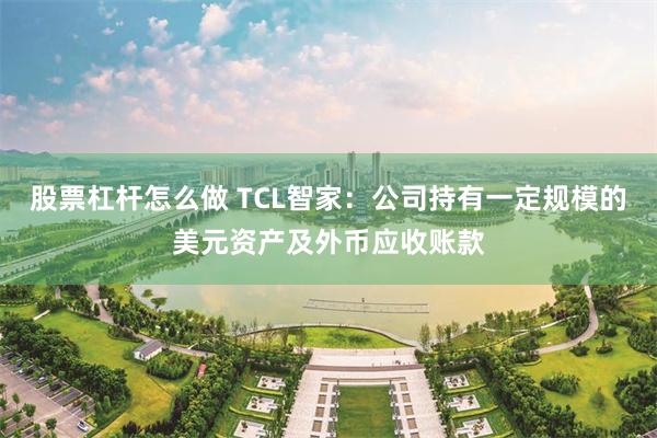 股票杠杆怎么做 TCL智家:公司持有一定规模的美元资产及外币应收账款