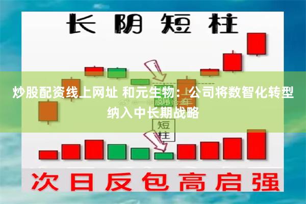 炒股配资线上网址 和元生物：公司将数智化转型纳入中长期战略
