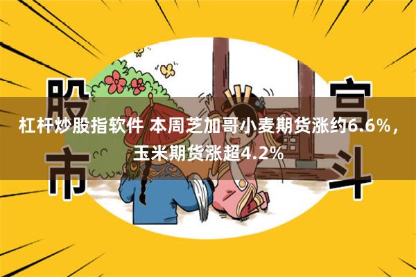 杠杆炒股指软件 本周芝加哥小麦期货涨约6.6%，玉米期货涨超4.2%