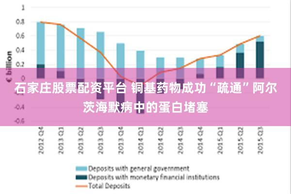 石家庄股票配资平台 铜基药物成功“疏通”阿尔茨海默病中的蛋白堵塞