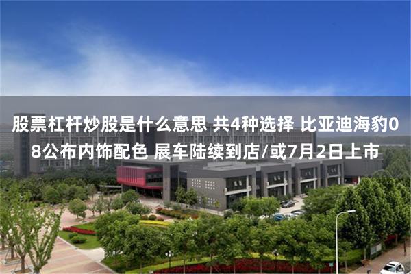 股票杠杆炒股是什么意思 共4种选择 比亚迪海豹08公布内饰配色 展车陆续到店/或7月2日上市