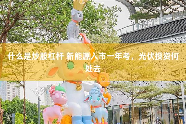 什么是炒股杠杆 新能源入市一年考，光伏投资何处去