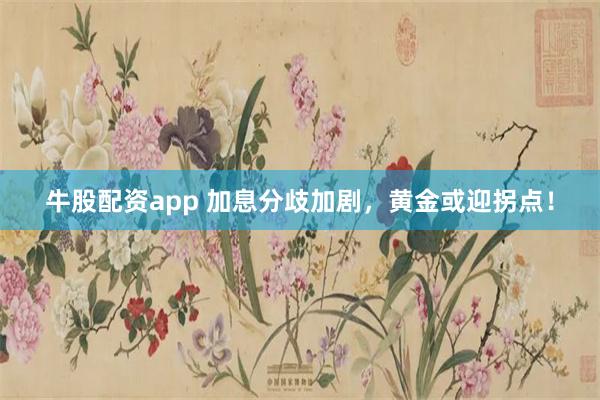 牛股配资app 加息分歧加剧，黄金或迎拐点！
