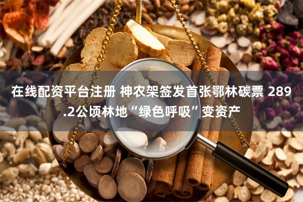 在线配资平台注册 神农架签发首张鄂林碳票 289.2公顷林地“绿色呼吸”变资产