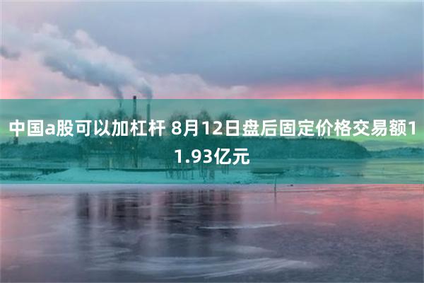 中国a股可以加杠杆 8月12日盘后固定价格交易额11.93亿元