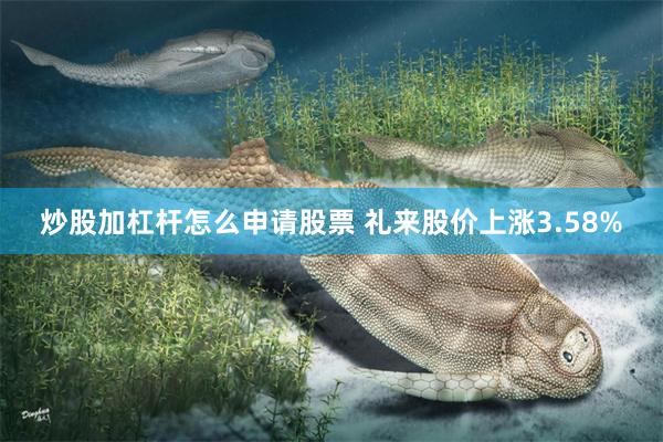 炒股加杠杆怎么申请股票 礼来股价上涨3.58%