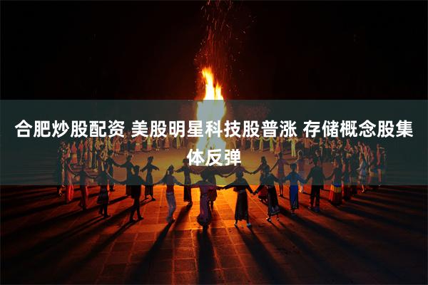 合肥炒股配资 美股明星科技股普涨 存储概念股集体反弹