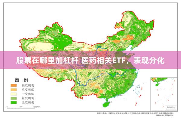 股票在哪里加杠杆 医药相关ETF，表现分化