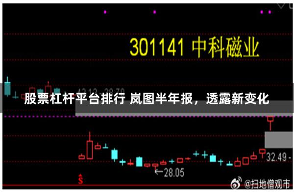 股票杠杆平台排行 岚图半年报，透露新变化