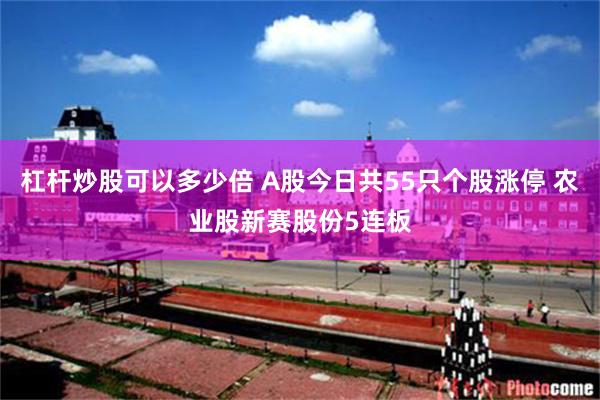 杠杆炒股可以多少倍 A股今日共55只个股涨停 农业股新赛股份5连板