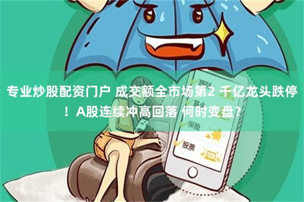 专业炒股配资门户 成交额全市场第2 千亿龙头跌停！A股连续冲高回落 何时变盘？
