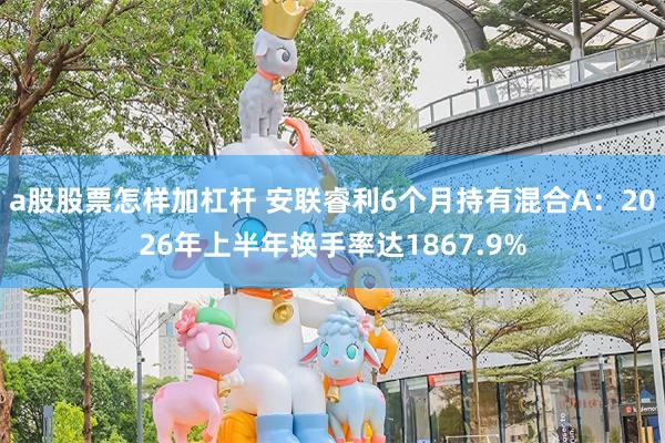 a股股票怎样加杠杆 安联睿利6个月持有混合A：2026年上半年换手率达1867.9%