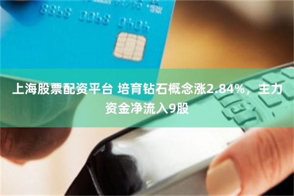 上海股票配资平台 培育钻石概念涨2.84%，主力资金净流入9股