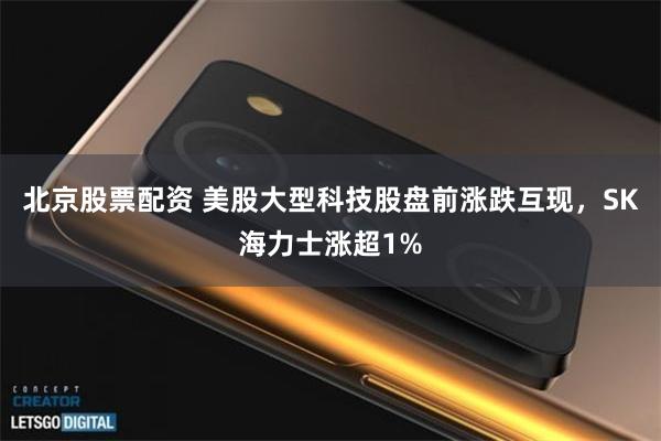 北京股票配资 美股大型科技股盘前涨跌互现，SK海力士涨超1%