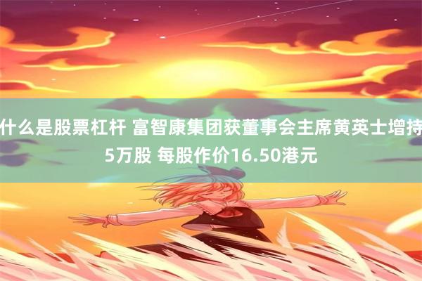 什么是股票杠杆 富智康集团获董事会主席黄英士增持5万股 每股作价16.50港元