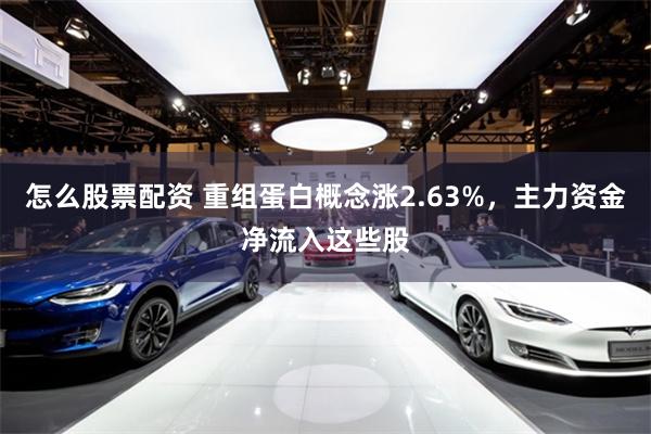 怎么股票配资 重组蛋白概念涨2.63%，主力资金净流入这些股