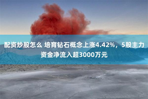 配资炒股怎么 培育钻石概念上涨4.42%，5股主力资金净流入超3000万元