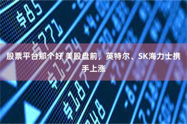 股票平台那个好 美股盘前，英特尔、SK海力士携手上涨