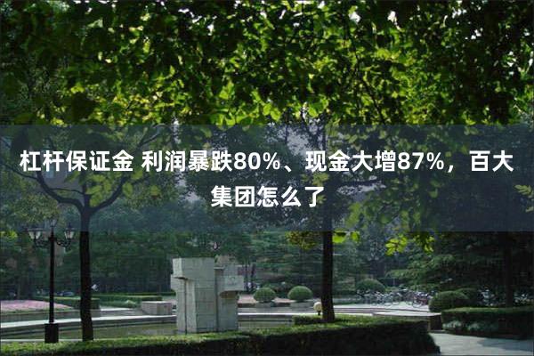 杠杆保证金 利润暴跌80%、现金大增87%，百大集团怎么了